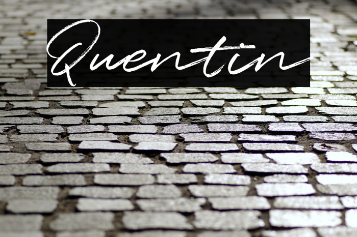 Quentin Font examples