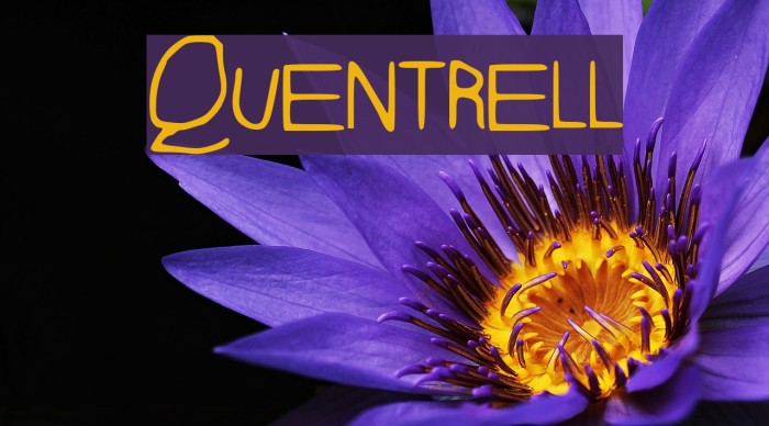 Quentrell Font examples