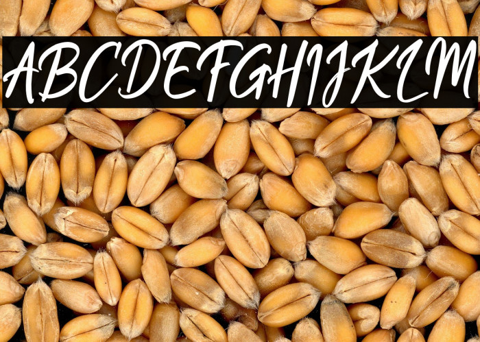 QuentsaDemo Example 1