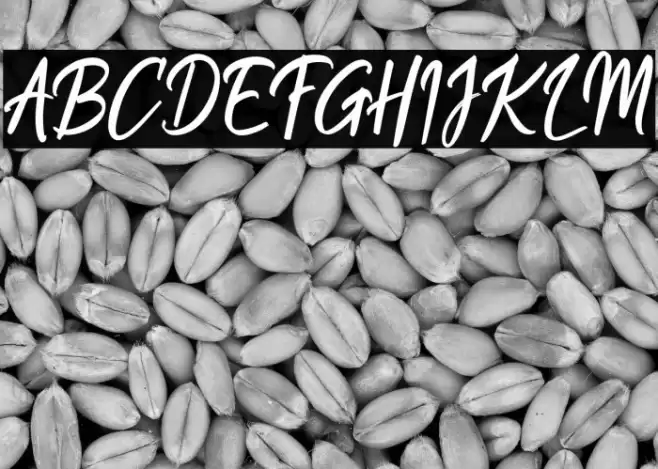 QuentsaDemo Font examples