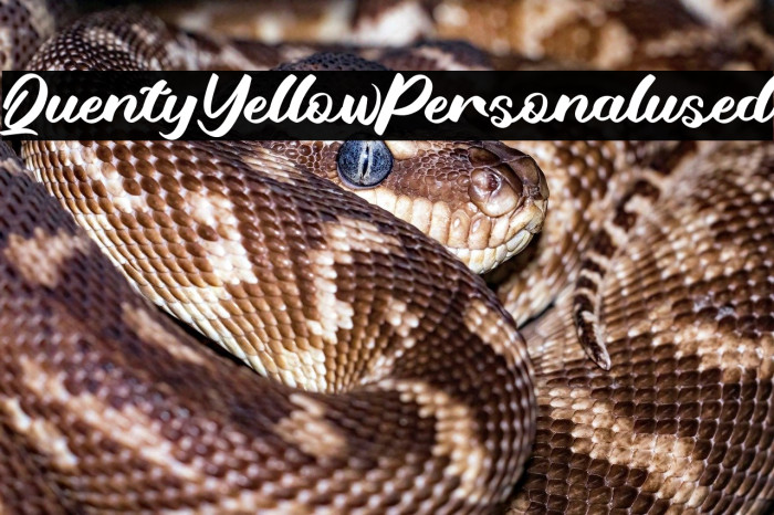 QuentyYellowPersonalused Example 1