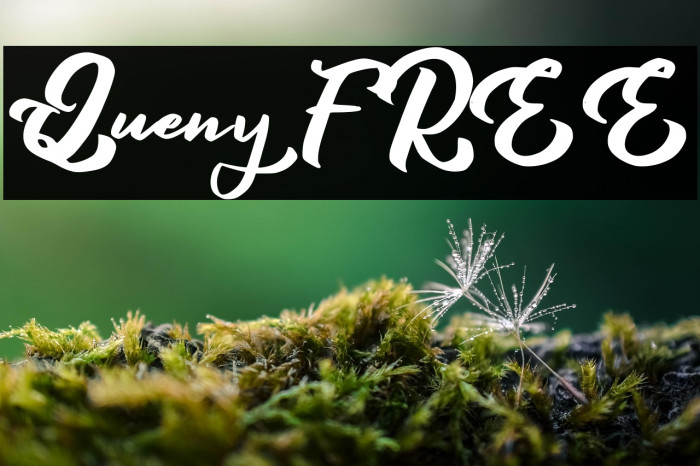 Queny FREE Example 2