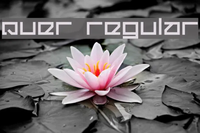 Quer Regular Example 2