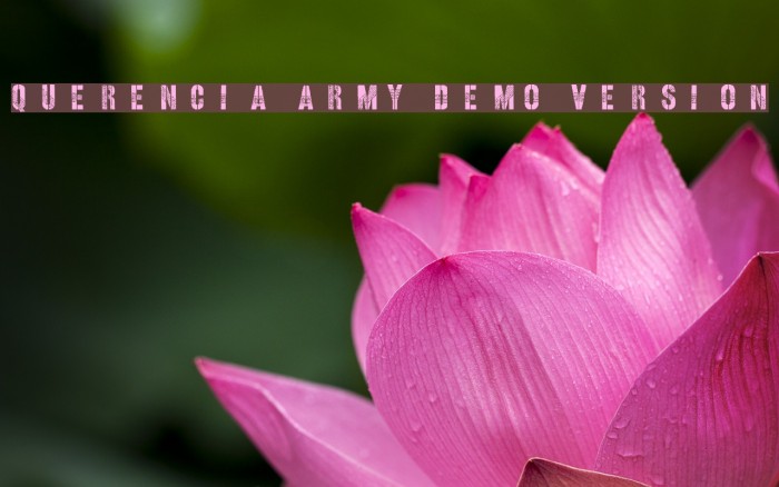 Querencia Army DEMO VERSION Шрифта examples