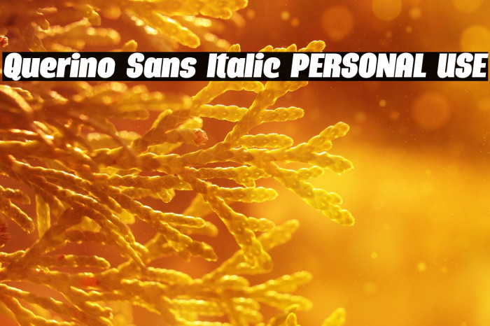 Querino Sans Italic PERSONAL USE Example 2