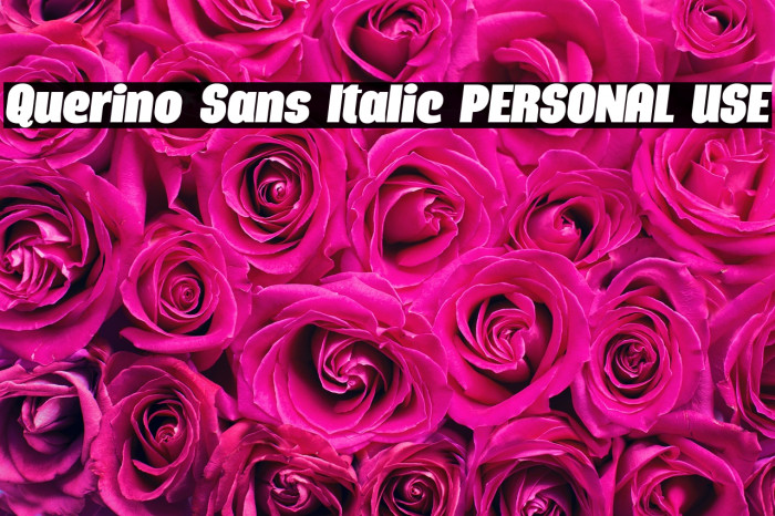 Querino Sans Italic PERSONAL USE Example 3