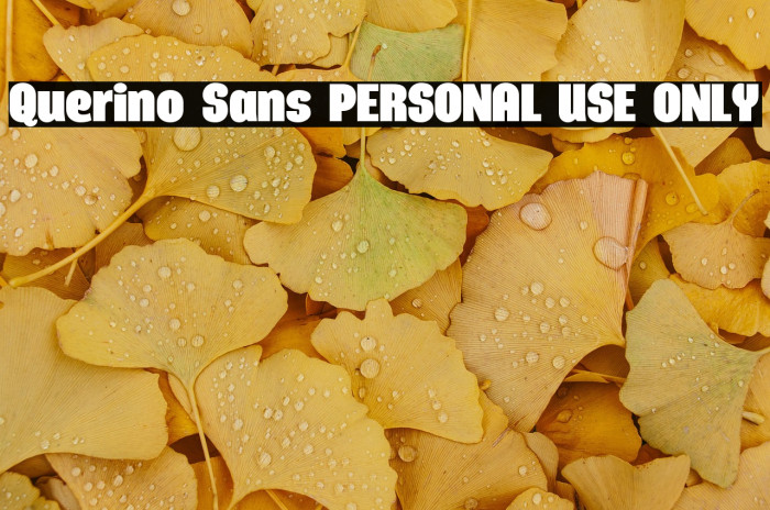 Querino Sans PERSONAL USE ONLY Example 2