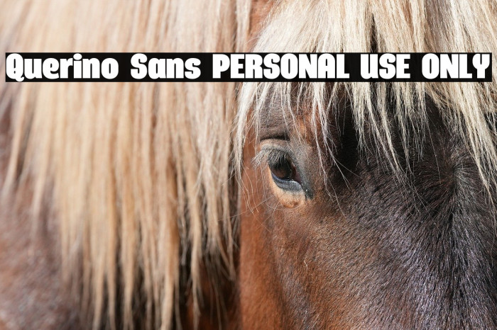Querino Sans PERSONAL USE ONLY Example 3