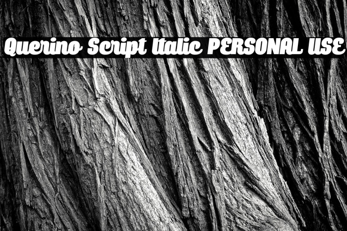 Querino Script Italic PERSONAL USE Example 1