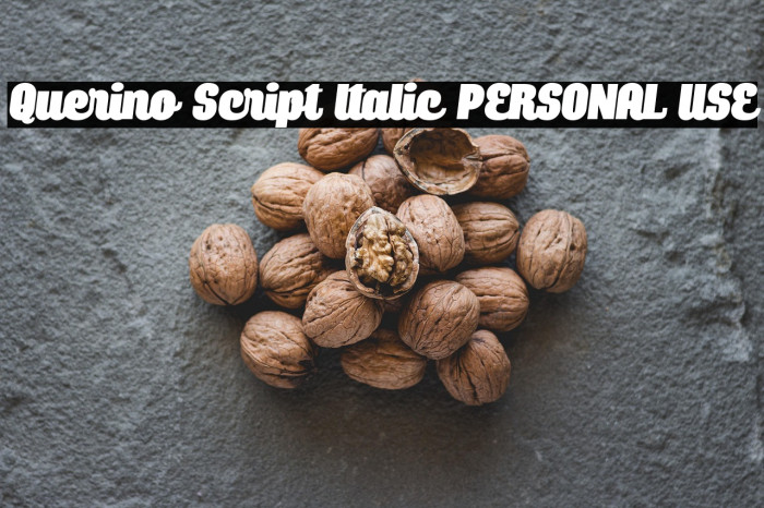 Querino Script Italic PERSONAL USE Example 2