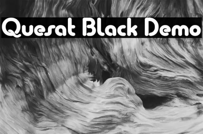 Quesat Black Demo  examples