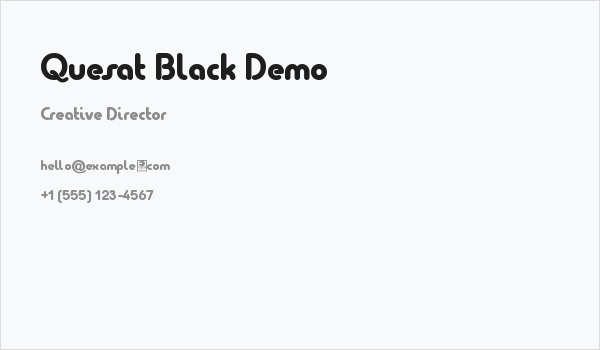 Quesat Black Demo Business Card