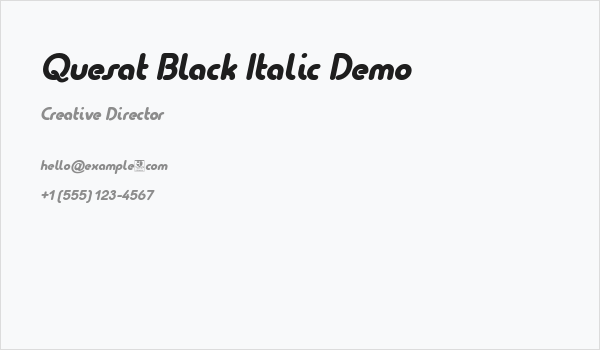 Quesat Black Italic Demo Business Card