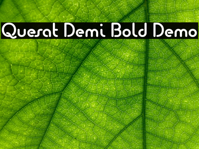Quesat Demi Bold Demo Font examples