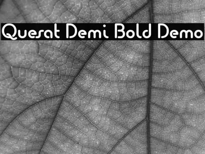 Quesat Demi Bold Demo Font examples