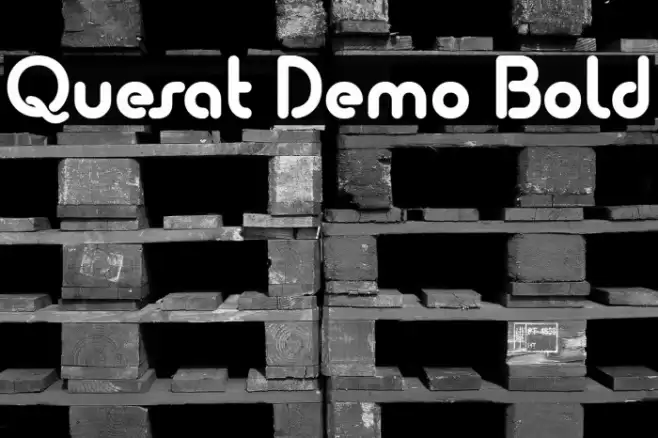 Quesat Demo Bold  examples