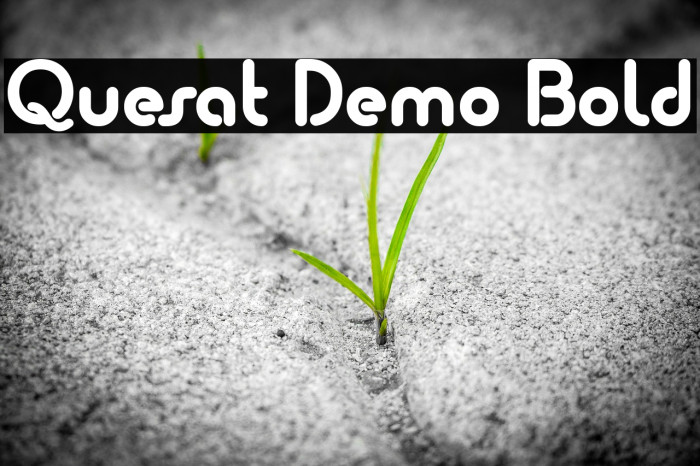 Quesat Demo Bold Font examples