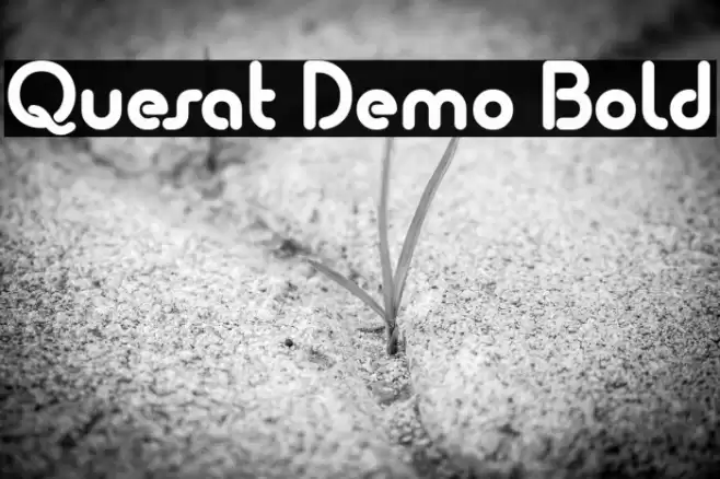 Quesat Demo Bold  examples