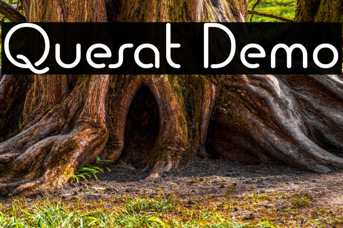 Quesat Demo Polices examples
