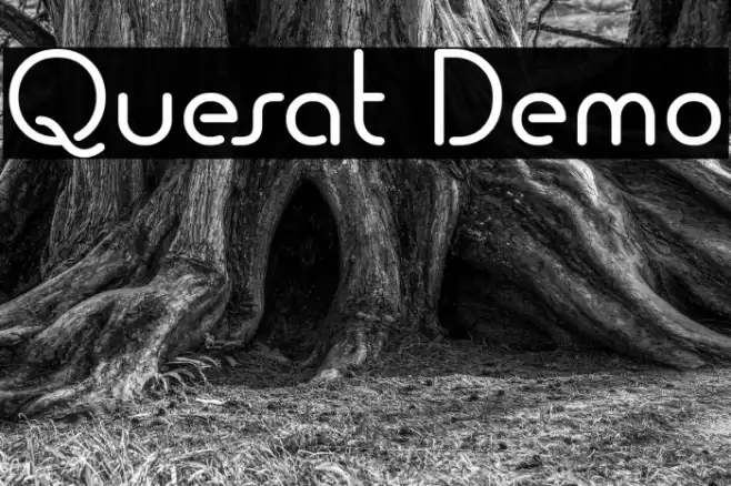 Quesat Demo Font examples