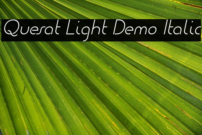 Quesat Light Demo Italic Font examples