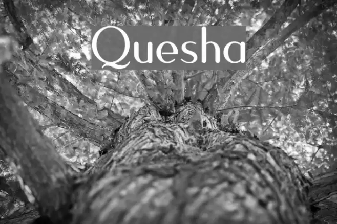 Quesha Font examples