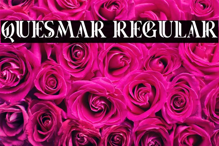 Quesmar Regular Example 2