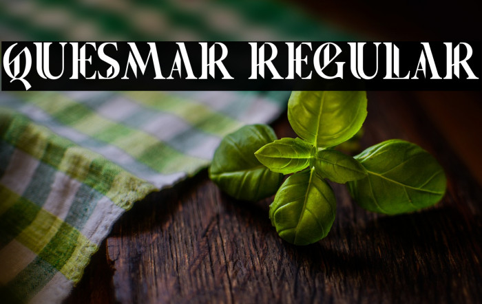 Quesmar Regular Example 3