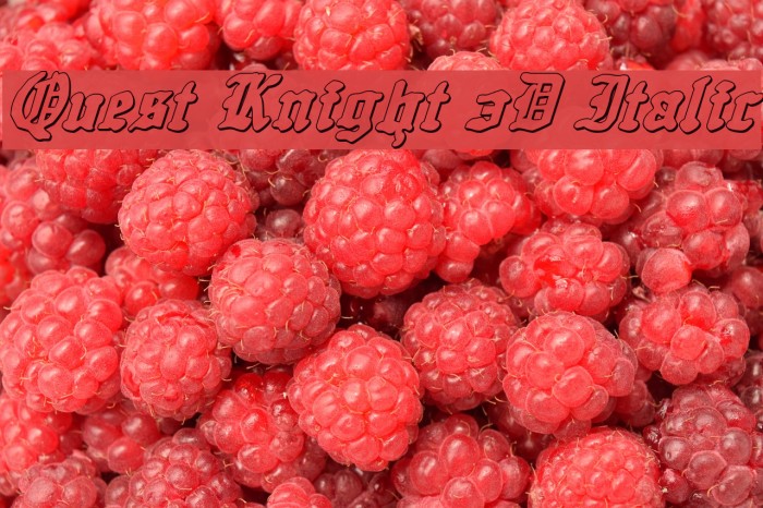 Quest Knight 3D Italic Font examples