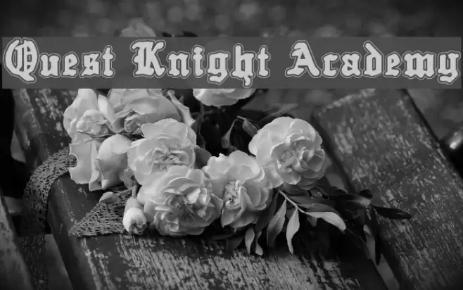 Quest Knight Academy Polices examples