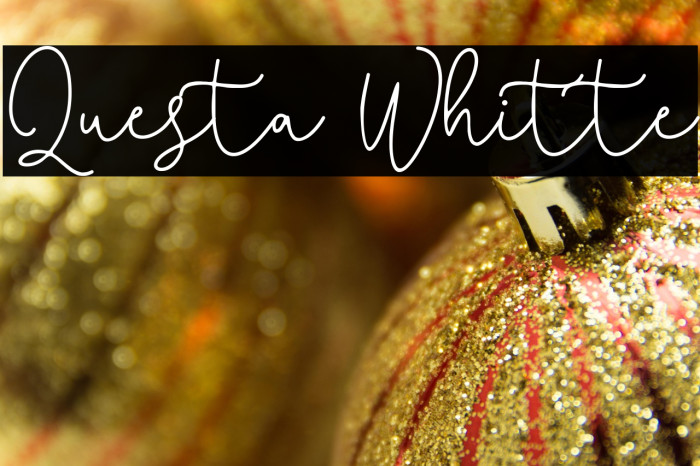 Questa Whitte Example 3