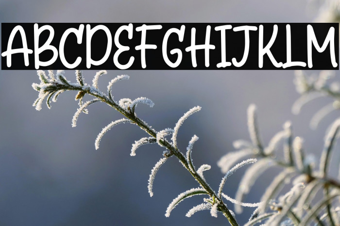 Questar Free Trial Example 1