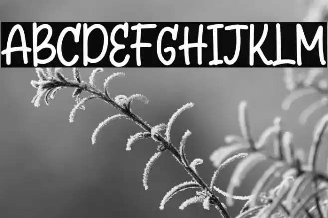 Questar Free Trial フォント examples