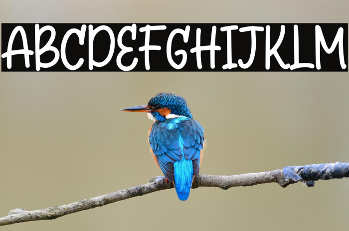 Questar Free Trial Example 2