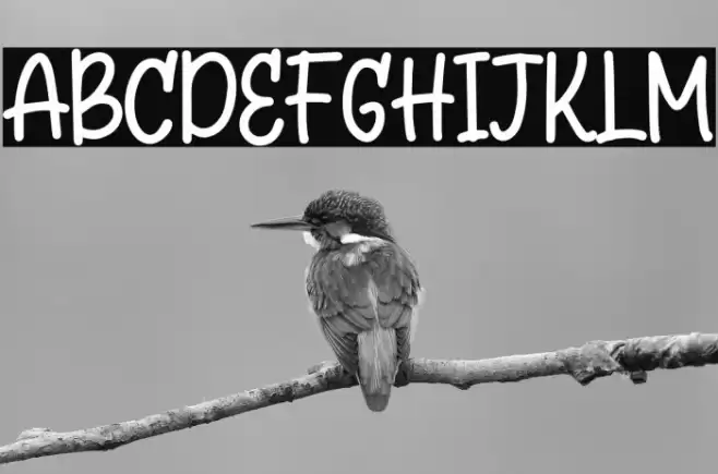 Questar Free Trial フォント examples