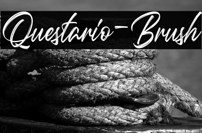 Questario-Brush Example 1