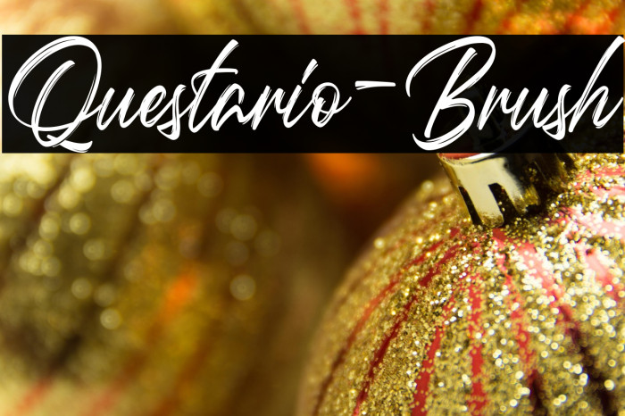 Questario-Brush Example 2