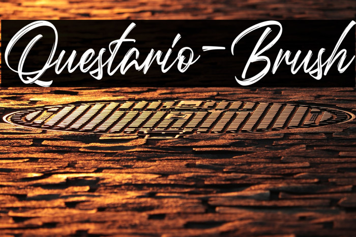 Questario-Brush Example 3