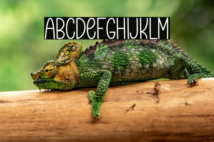 Question And Answer Example 3