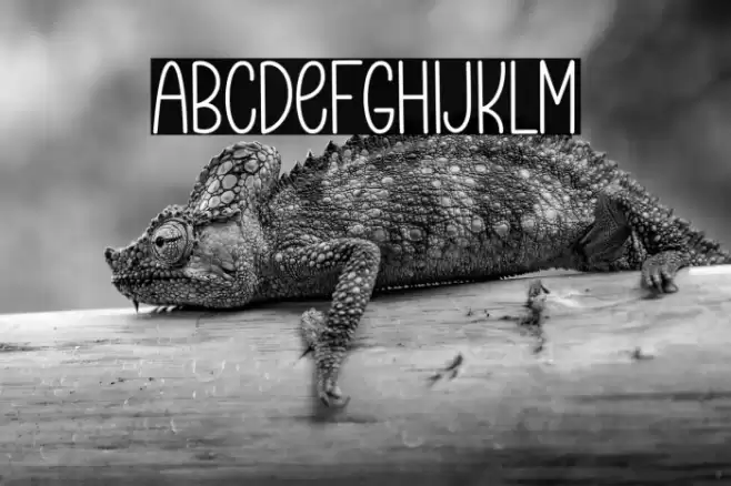 Question And Answer خط examples