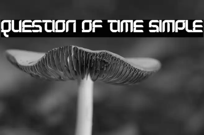 Question of time simple Font examples