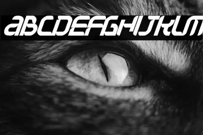 Question of time Font examples