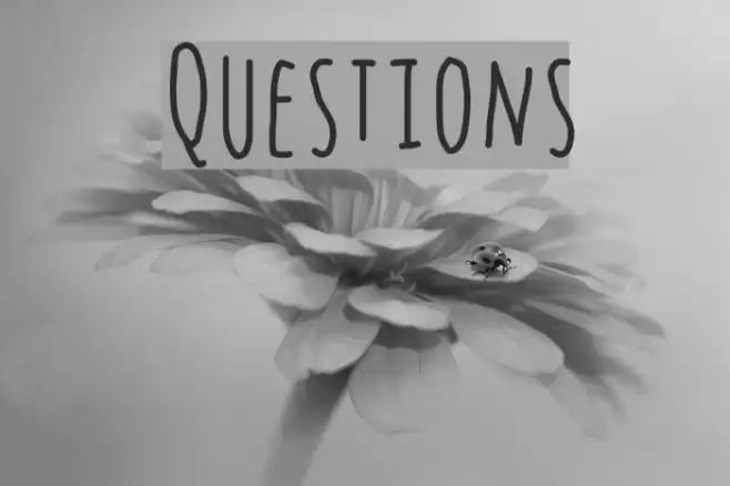 Questions Font examples