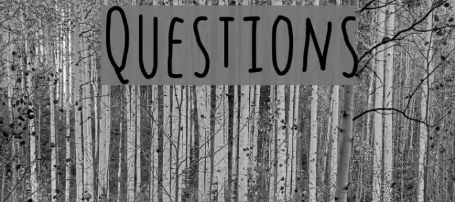 Questions Font examples