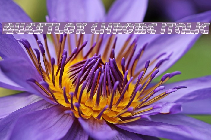 Questlok Chrome Italic Example 2