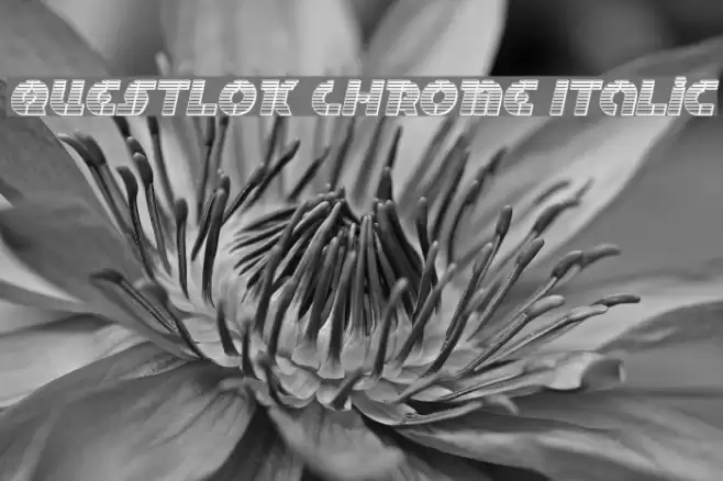 Questlok Chrome Italic Font examples