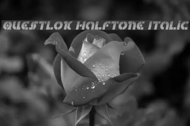 Questlok Halftone Italic Font examples