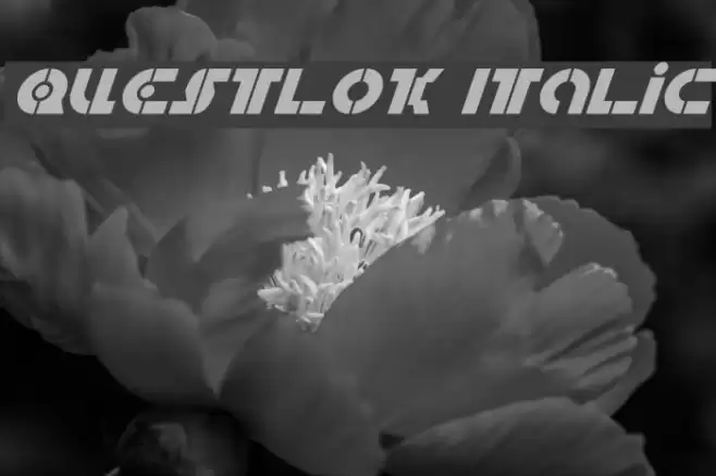 Questlok Italic Шрифта examples