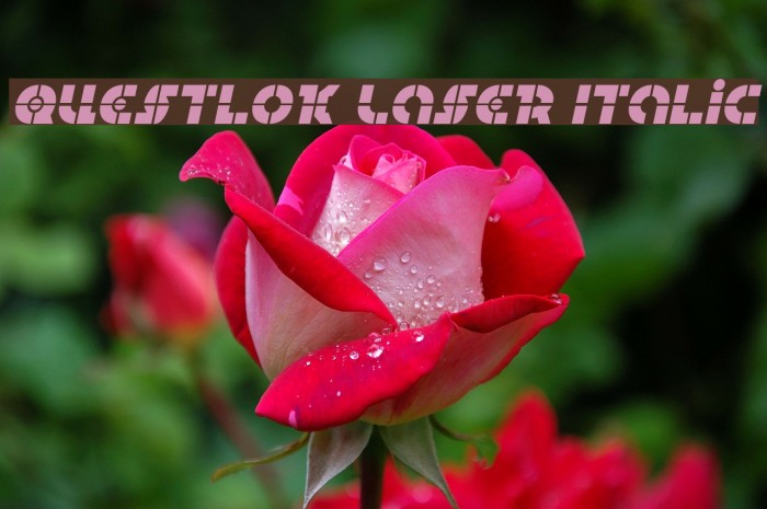 Questlok Laser Italic Font examples
