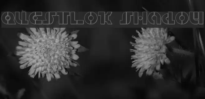 Questlok Shadow Font examples